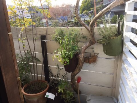 cid_ac443d69-a2be-4ab0-9868-5f51fb35cbfe