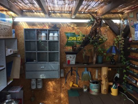 cid_d1f528ba-a766-49e1-843c-2d927b6eff33