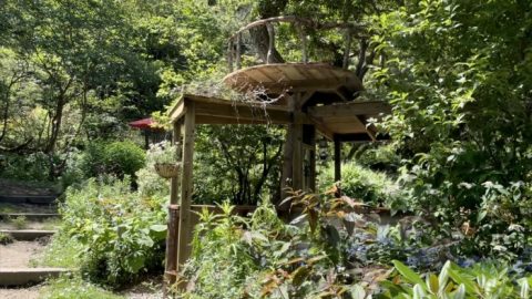 line_oa_chat_210908_144638